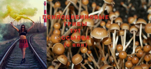 кристаллы Бородино